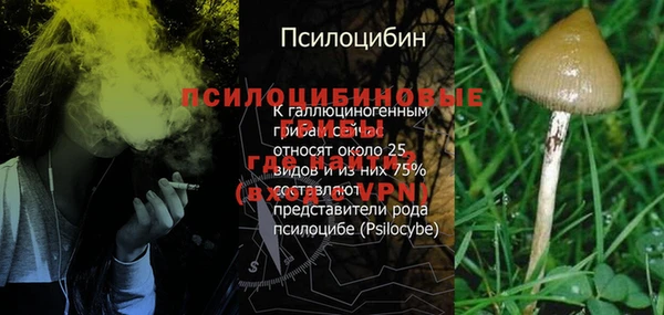 ешки Каменногорск
