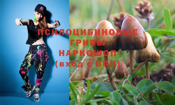 ешки Каменногорск