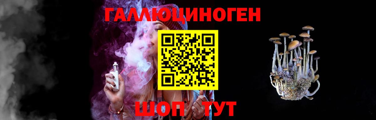 Псилоцибиновые грибы Psilocybe Белгород