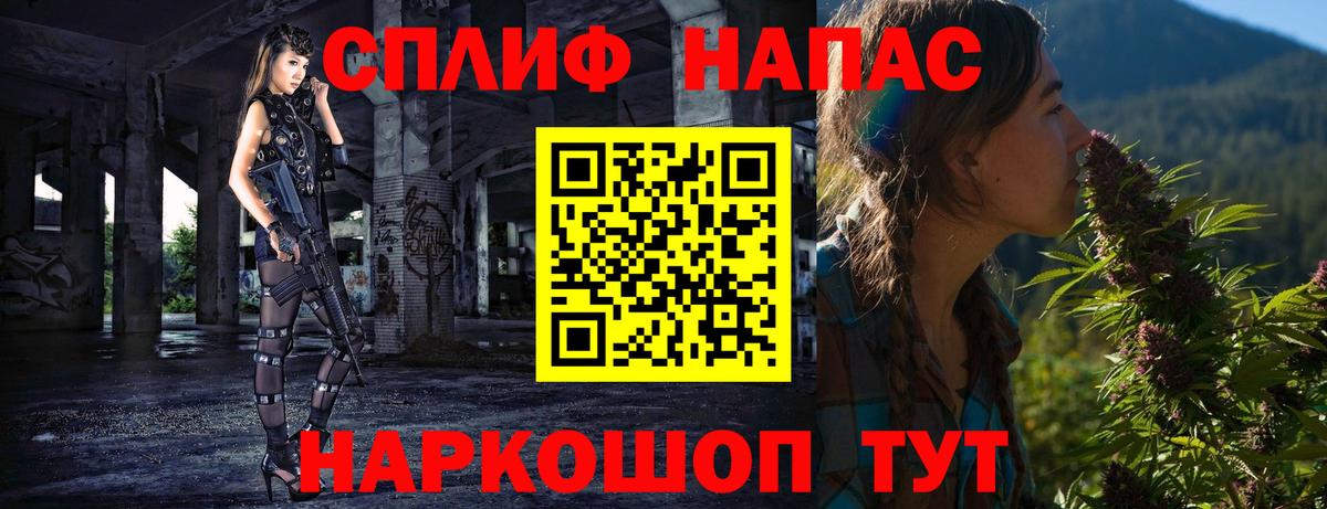 Бошки Шишки планчик Белгород